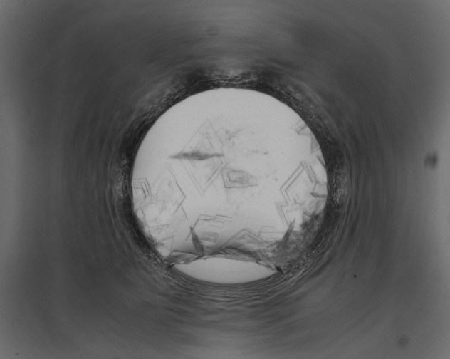 X0000096980515200803071033
