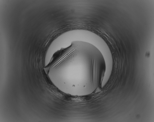 X0000096980516200803071033