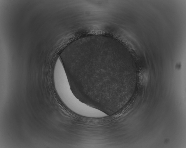 X0000096980517200803071033