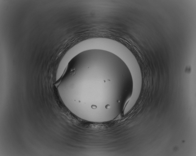 X0000096980520200803071032