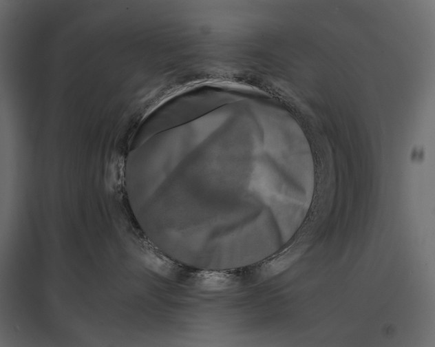 X0000096980528200803071032