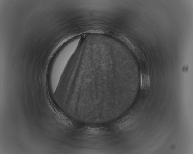 X0000096980531200803071032