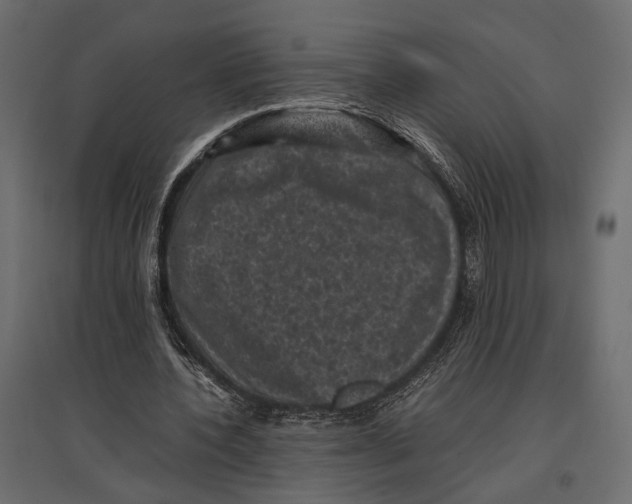 X0000096980532200803071032