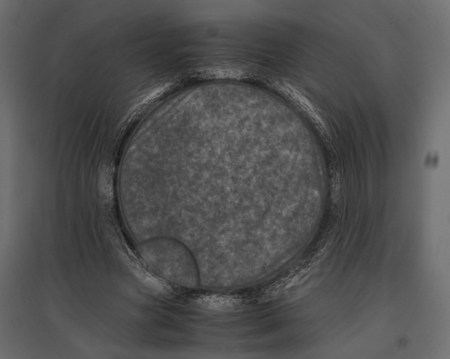 X0000096980537200803071032