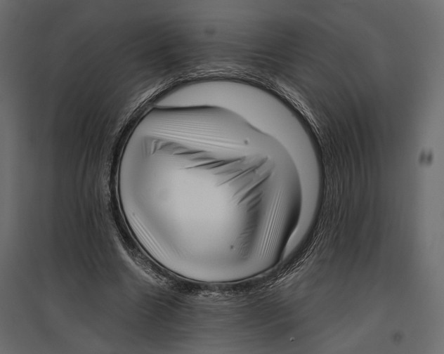 X0000096980538200803071032