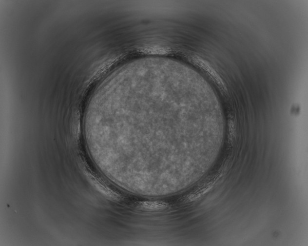 X0000096980541200803071032