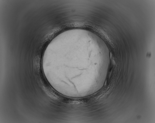 X0000096980542200803071032