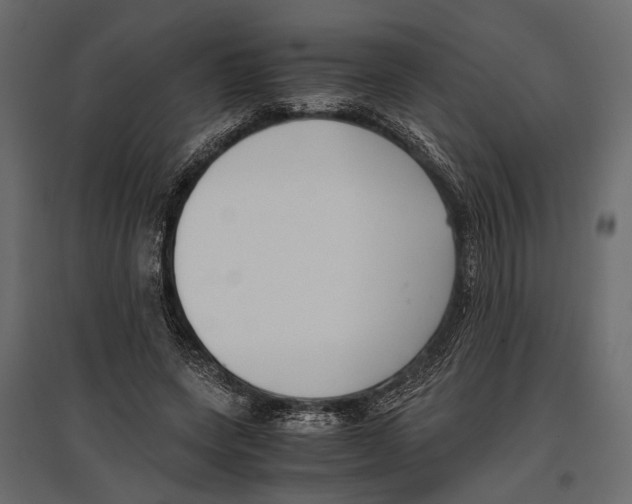 X0000096980543200803071032