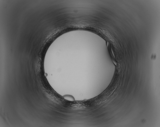 X0000096980544200803071032