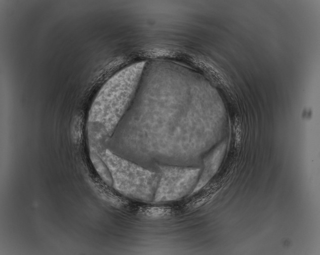 X0000096980546200803071032