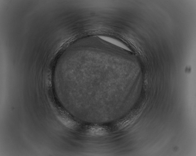 X0000096980547200803071032