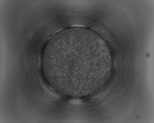 X0000096980551200803071032