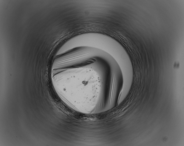 X0000096980552200803071032