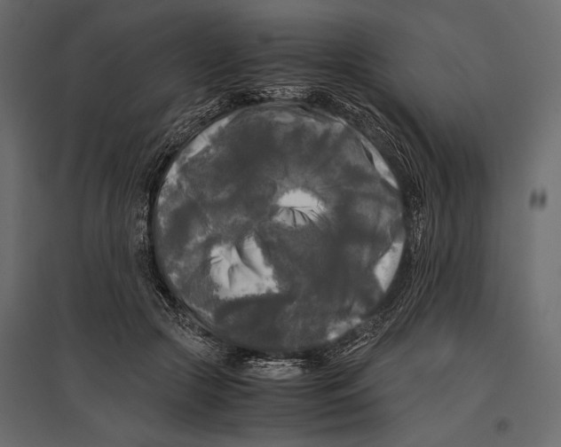 X0000096980553200803071032