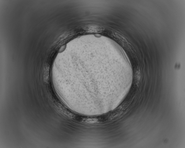 X0000096980554200803071032