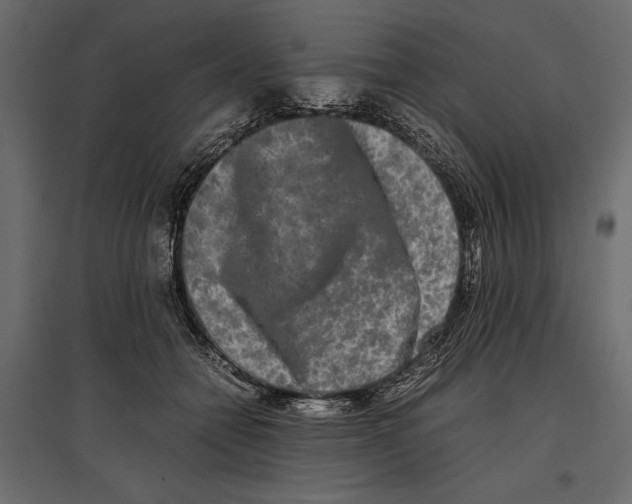 X0000096980558200803071032