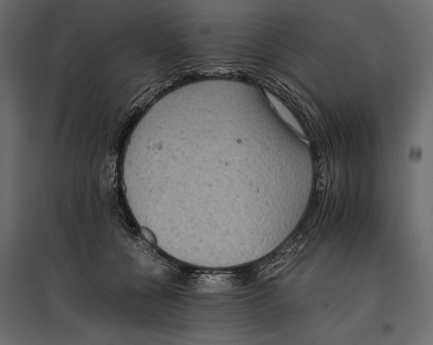 X0000096980560200803071032