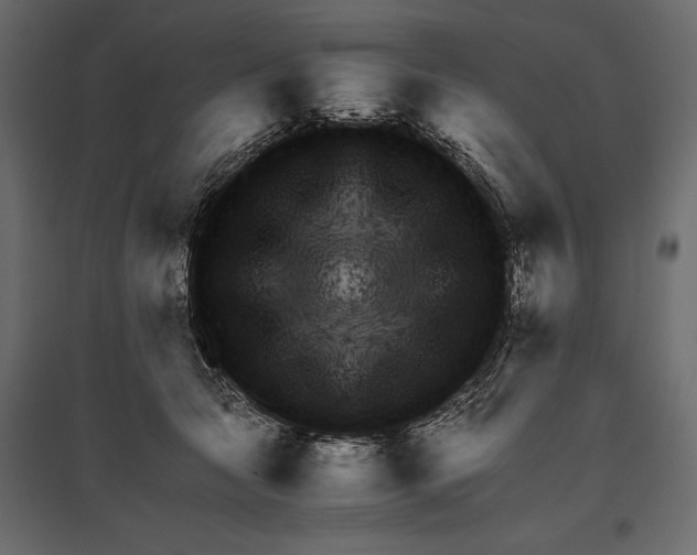 X0000096980561200803071032