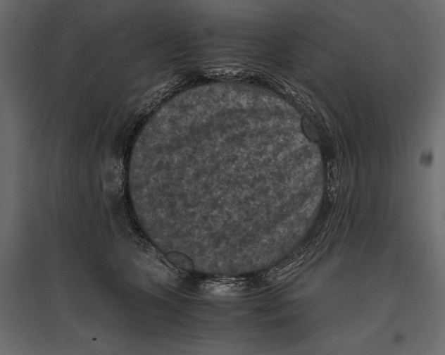 X0000096980563200803071032