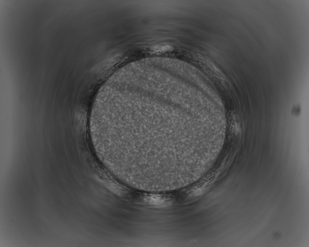 X0000096980565200803071032