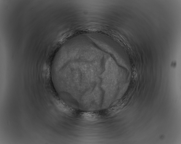 X0000096980568200803071032