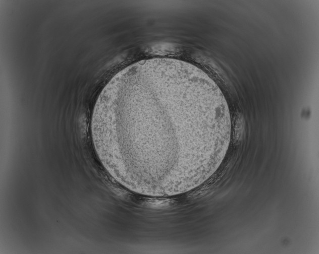 X0000096980569200803071032