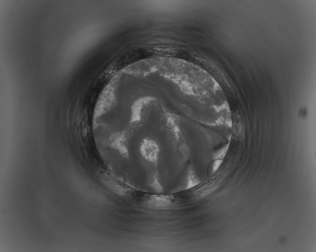 X0000096980573200803071032