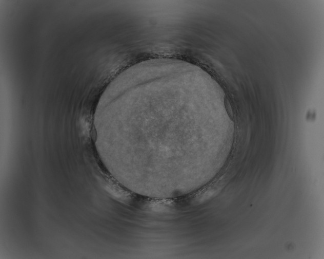 X0000096980576200803071032