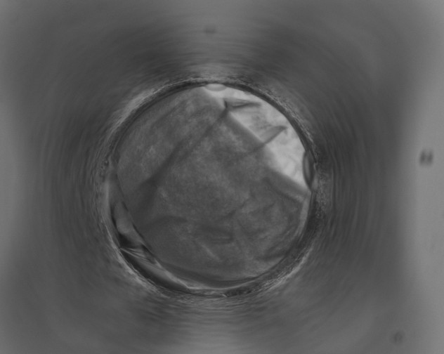 X0000096980577200803071032