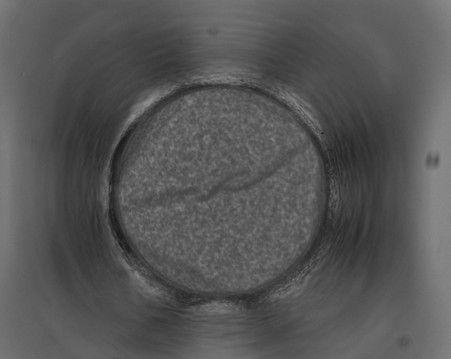 X0000096980578200803071031