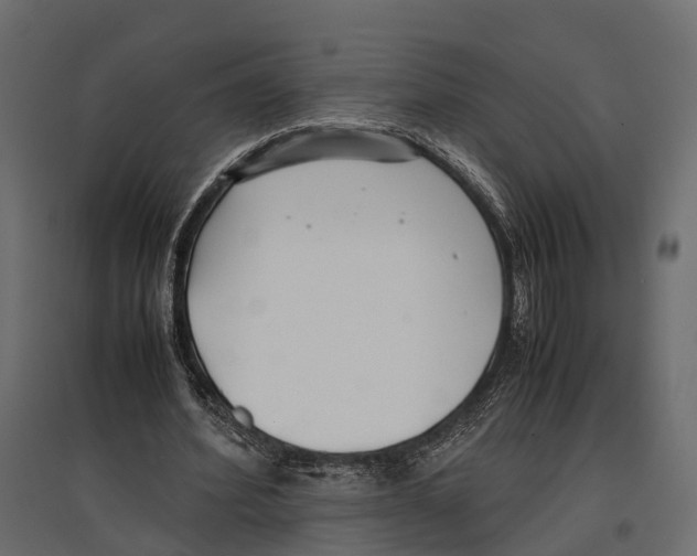 X0000096980580200803071031