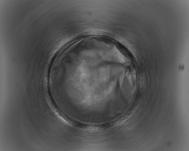 X0000096980581200803071031