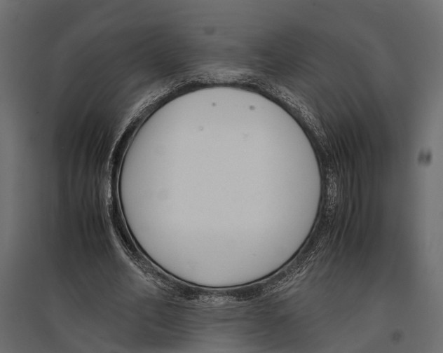 X0000096980582200803071031