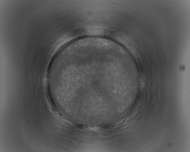 X0000096980583200803071031