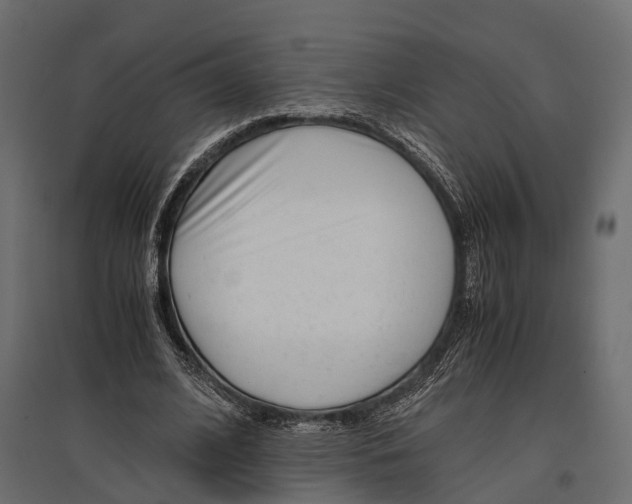 X0000096980584200803071031