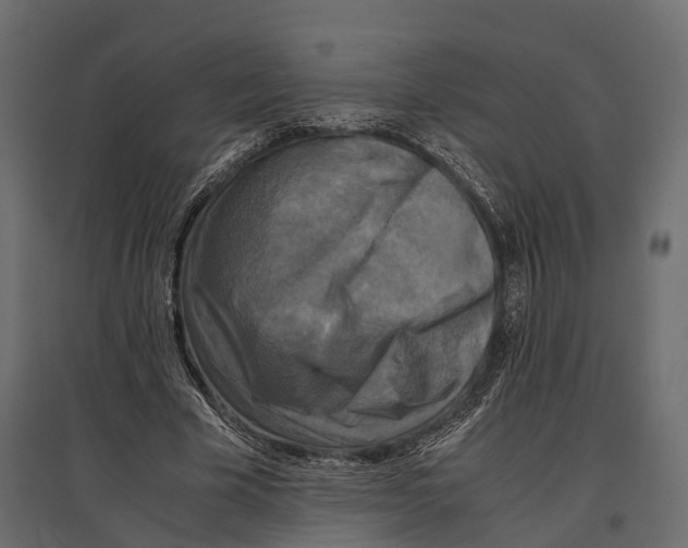 X0000096980585200803071031