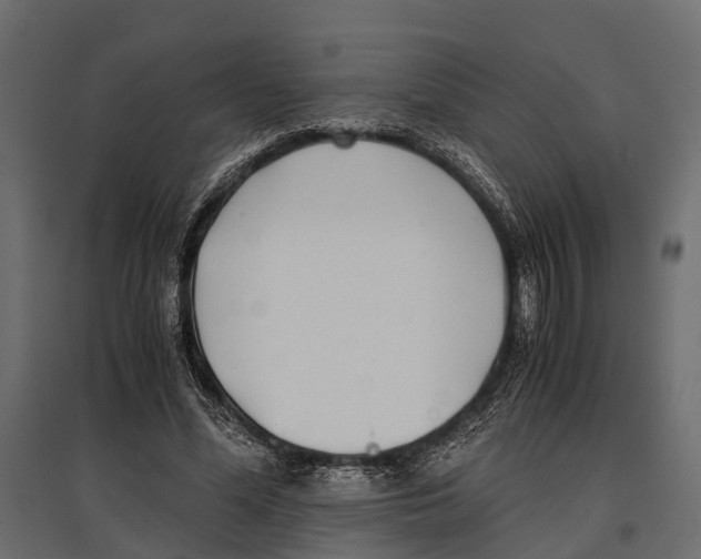 X0000096980588200803071031