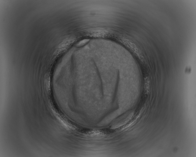 X0000096980589200803071031