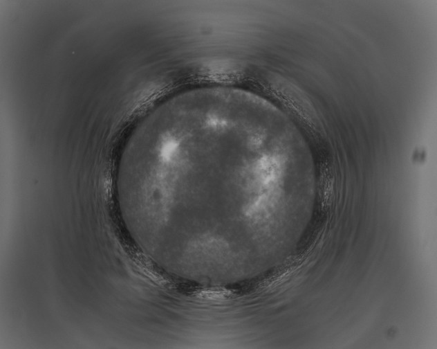 X0000096980595200803071031