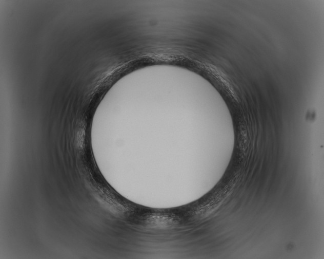 X0000096980596200803071031