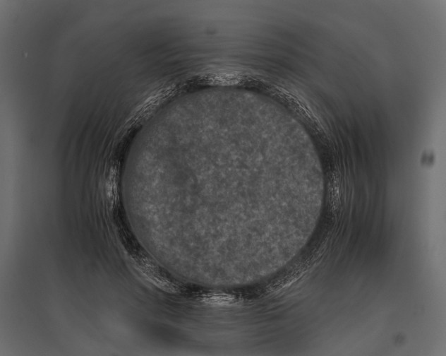 X0000096980598200803071031