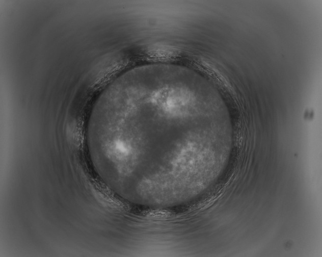 X0000096980599200803071031