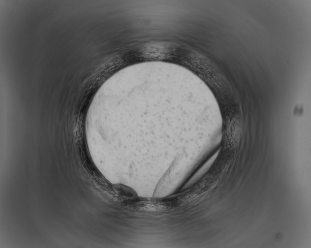 X0000096980601200803071031