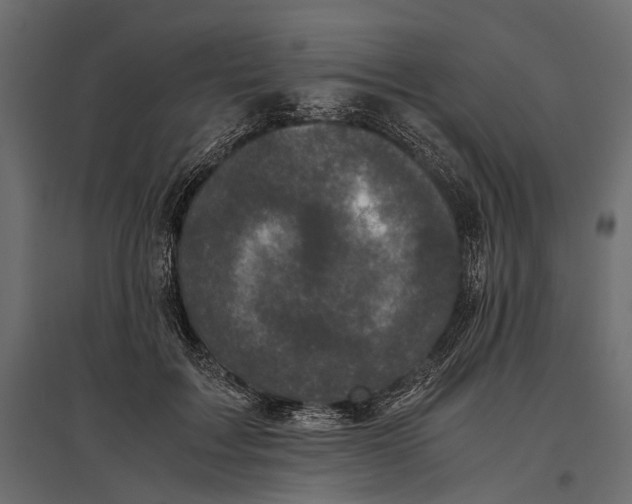 X0000096980603200803071031