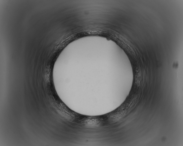 X0000096980604200803071031