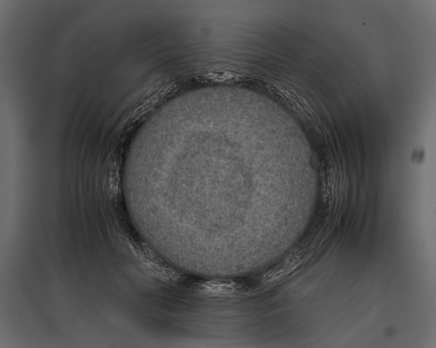 X0000096980606200803071031