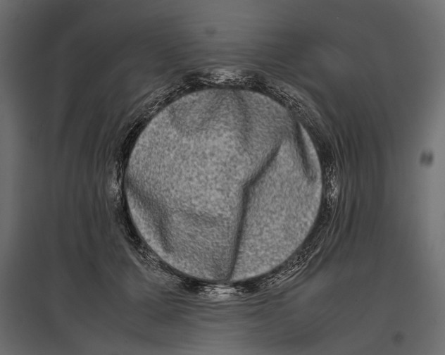 X0000096980607200803071031