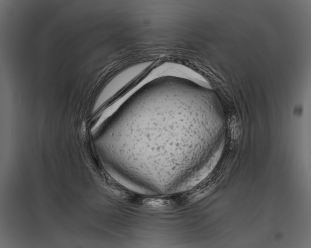 X0000096980611200803071031