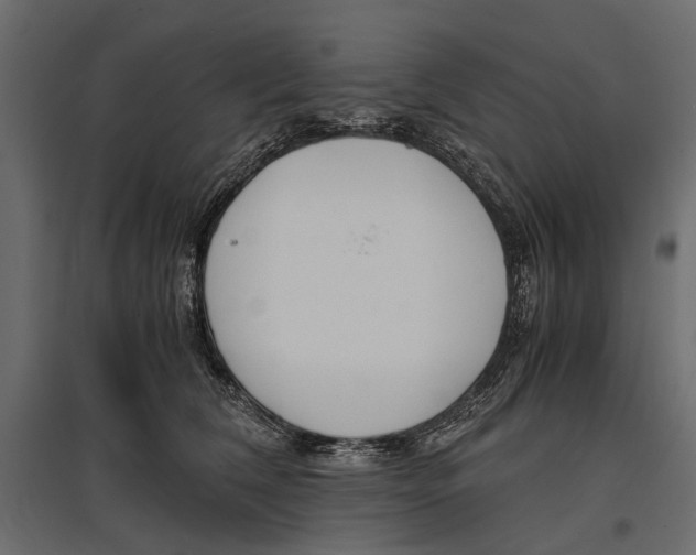 X0000096980612200803071031