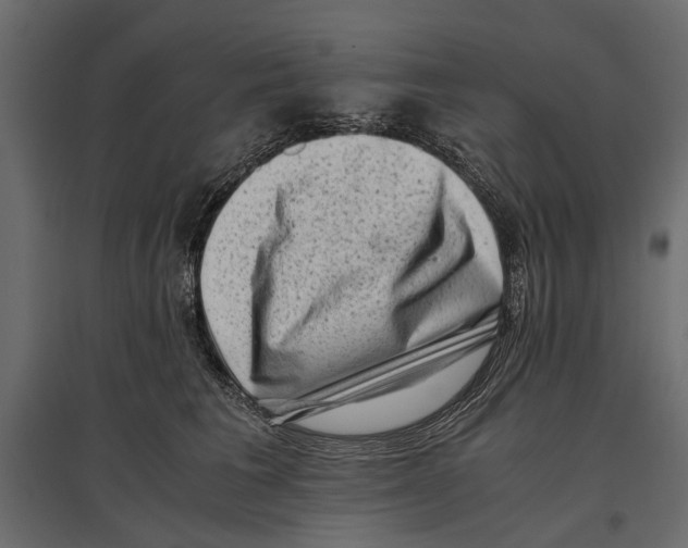 X0000096980613200803071031